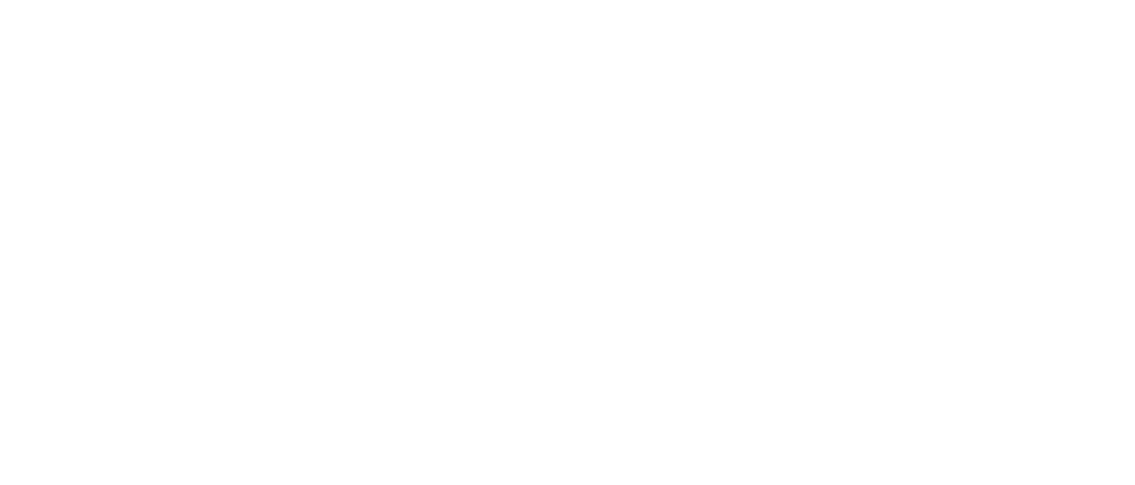 safe_logo_nega